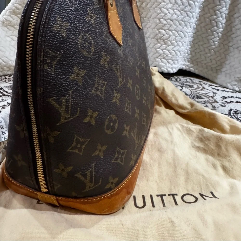 Louis Vuitton Classic Brown Satchel